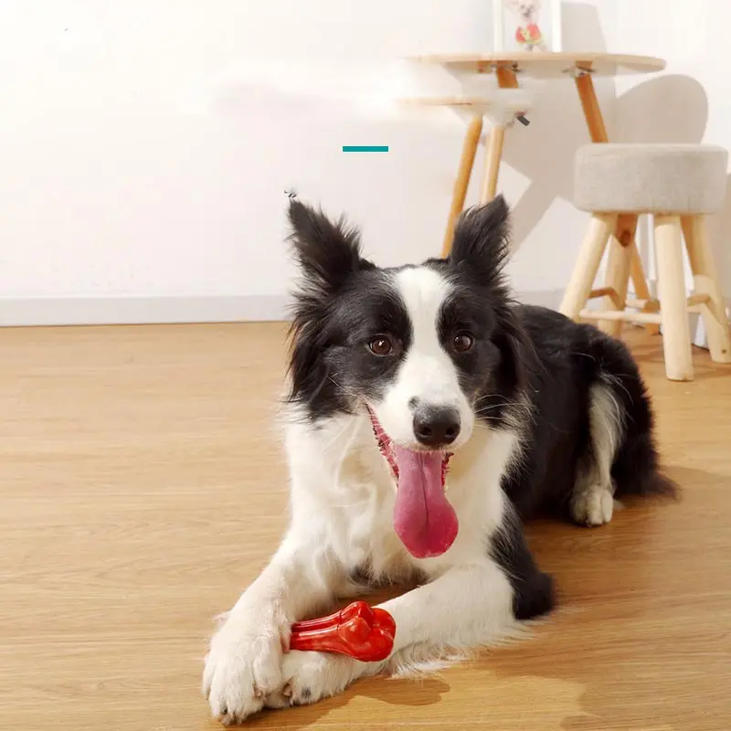 Pet Toy Chew Resistant Dog Molar Stick