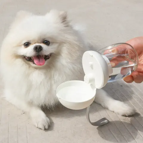 Foldable and Portable Pet Cat and Dog Outdoor Drinking