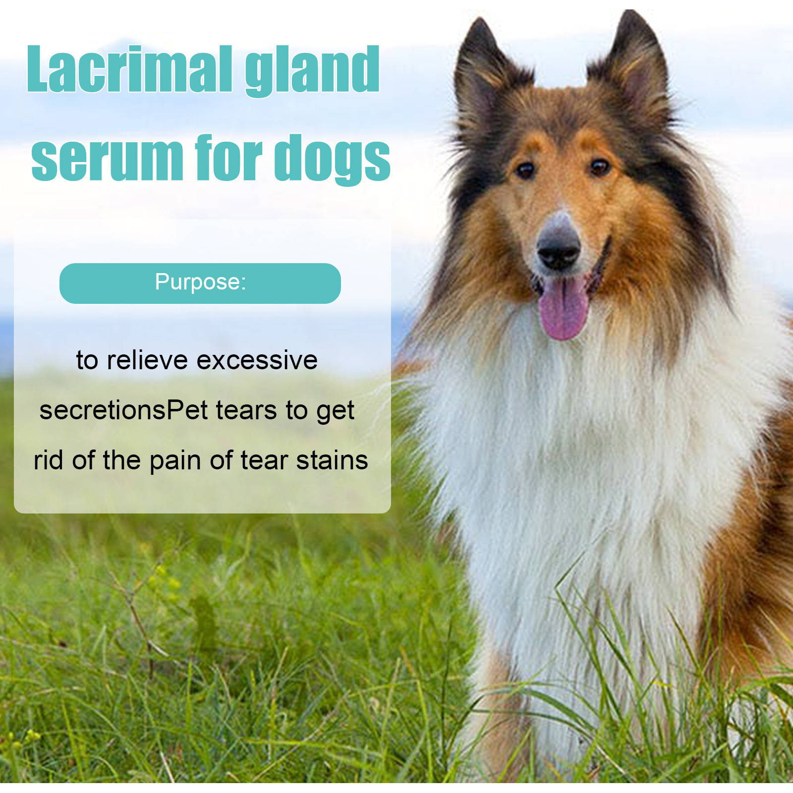 Yegbong Dog Tear Gland Essence, Pet External Eye Tear Stain Remover For Cats And Dogs — foto 6