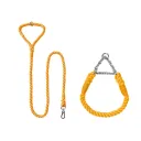 Orange Silver