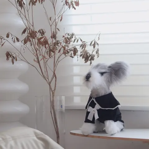 Dog Warm Velvet Small and Medium Dogs and Cats