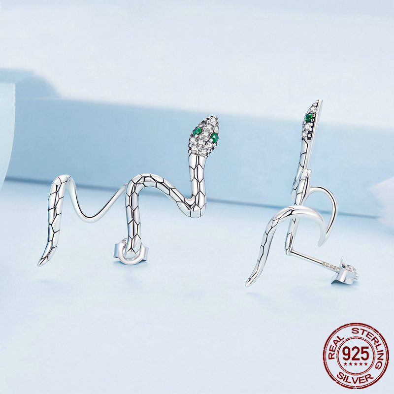 Title 6, Boucles doreilles clous serpentines S925 en ar...