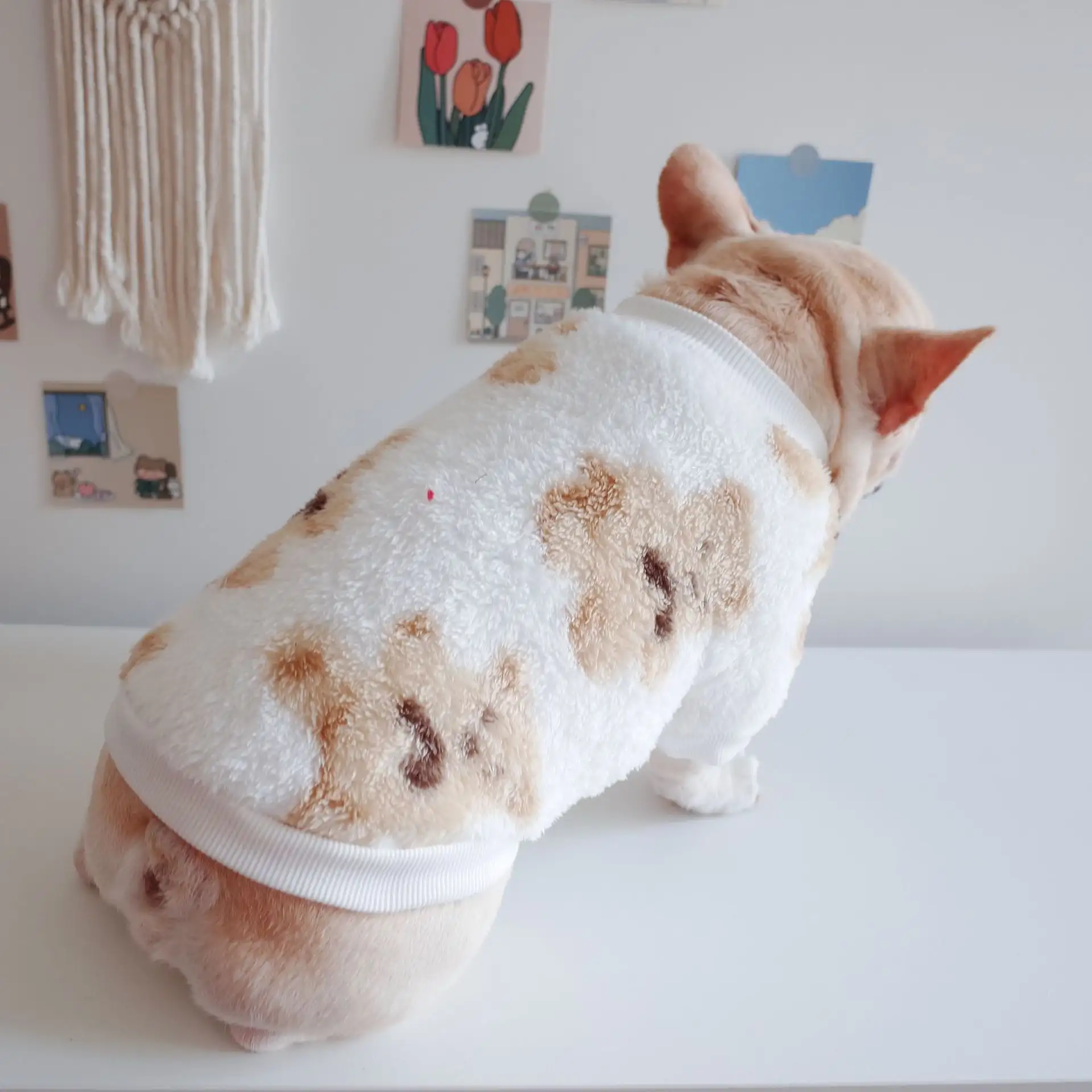 Dog Autumn And Winter Warm Stretch Plush Bear Print