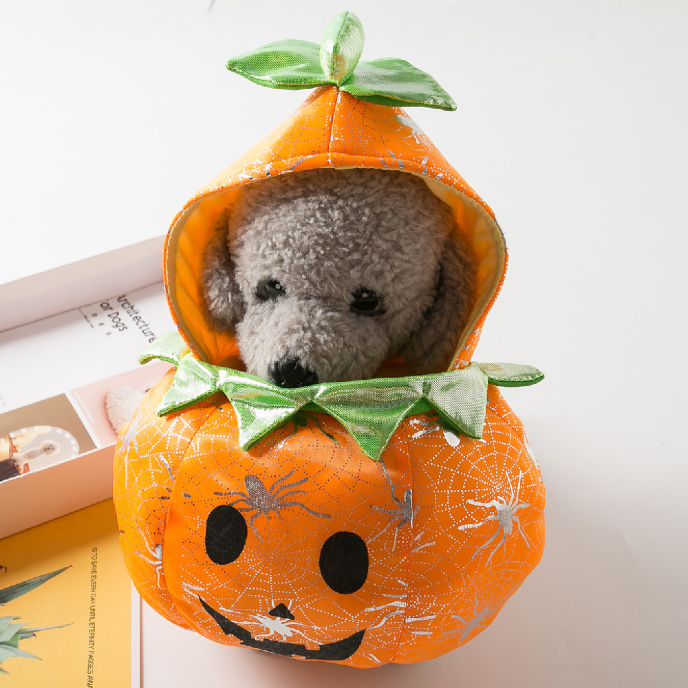 Beibei pumpkin