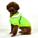 Fluorescent Green