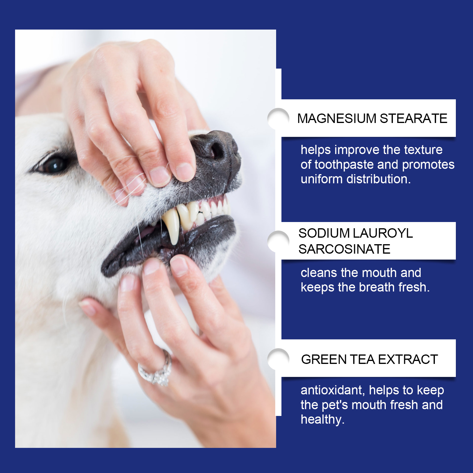 Pet Teeth Cleaning Powder