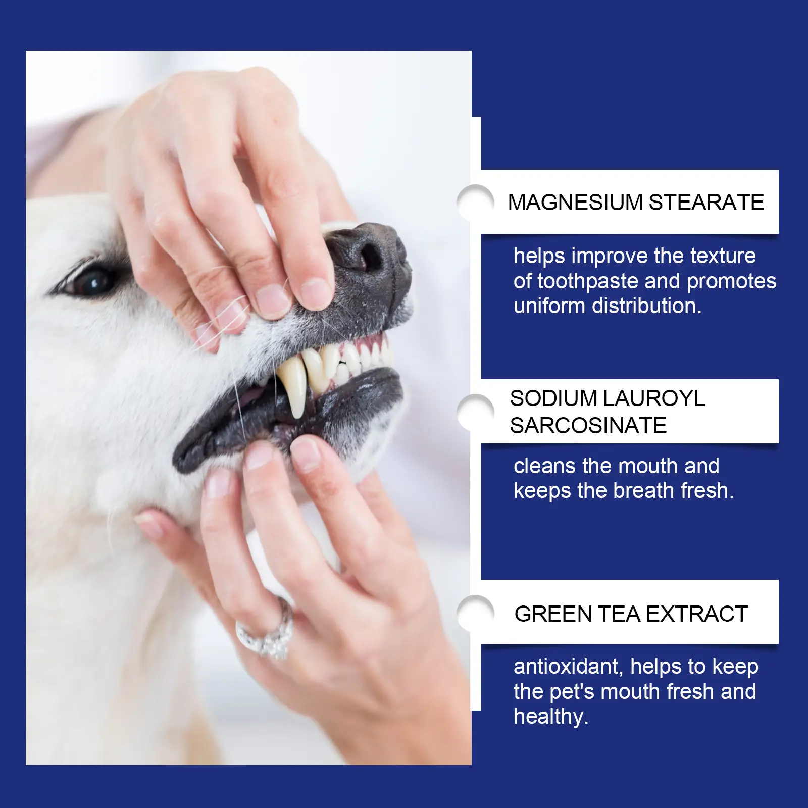 Pet Teeth Cleaning Powder