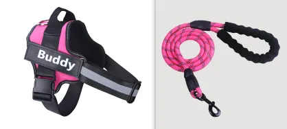 Fashion Simple Pet Leash Chest Strap Set Pink - Shop at LoveMi