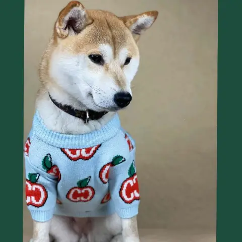 Dog Clothes Autumn and Winter Thick Knit Sweater