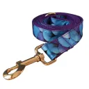 Leash