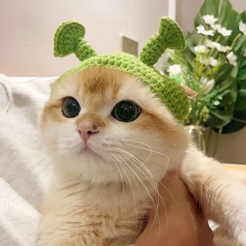 Handmade Knitted Cat Dog Hat Pet Hair