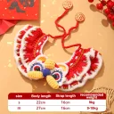 Lion Dance Blessing