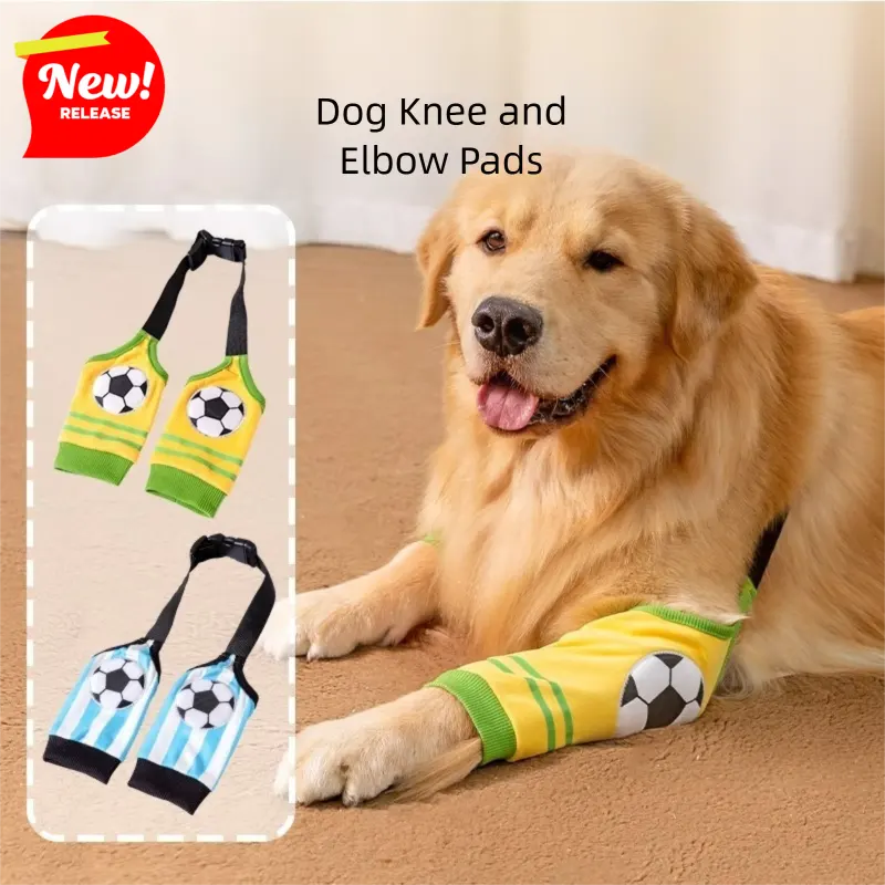 The Sleeves of the Dog Rehabilitation Suit Are Wear-resistant