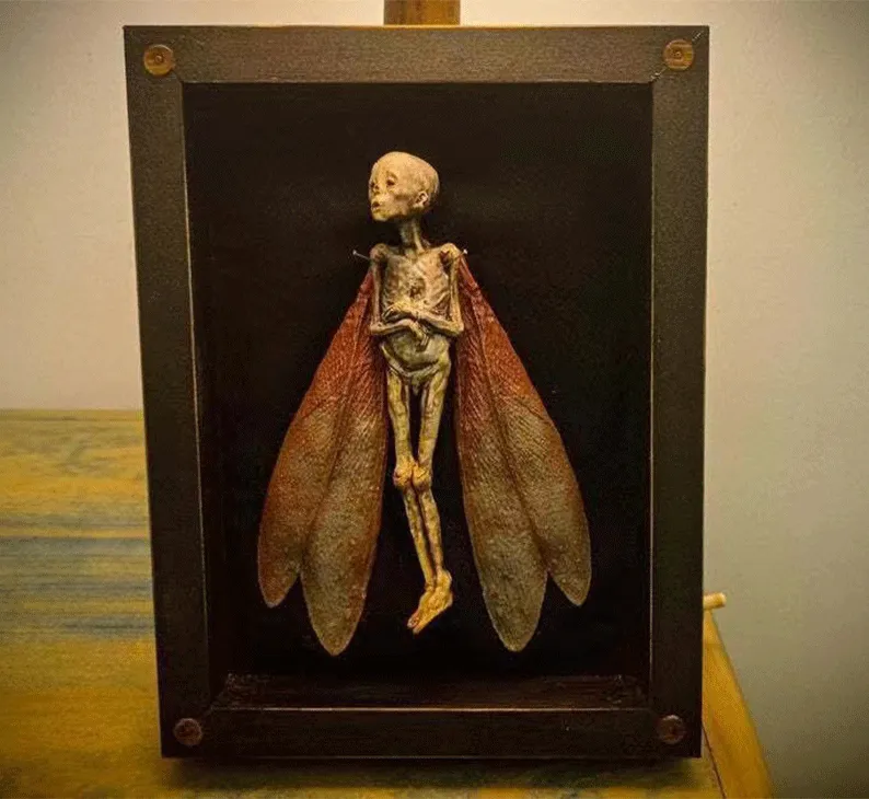 Cursed Items Dead Fairy Shadow Box Display Wooden Ornaments - Black
