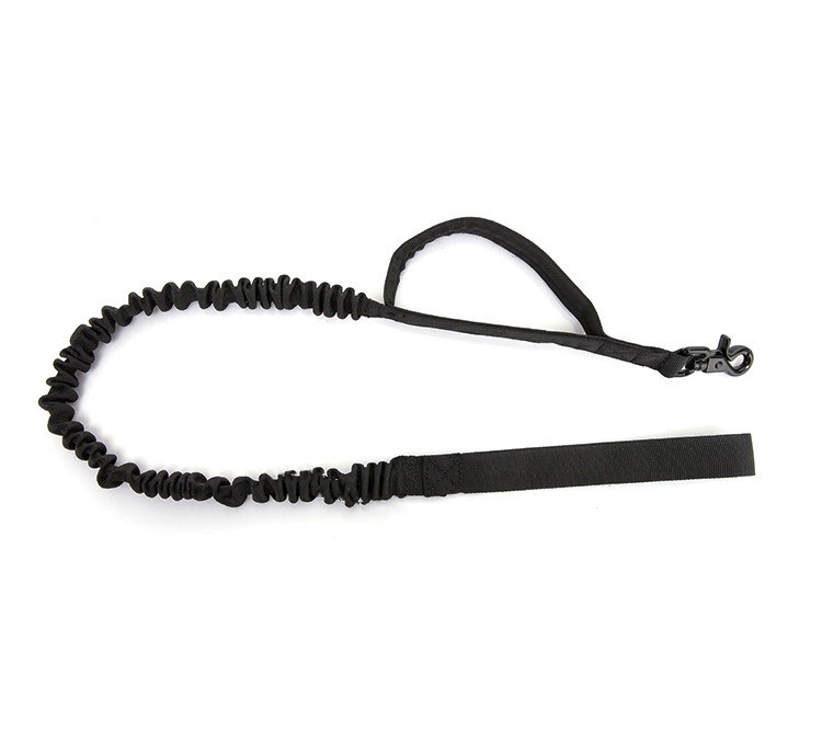 Black leash