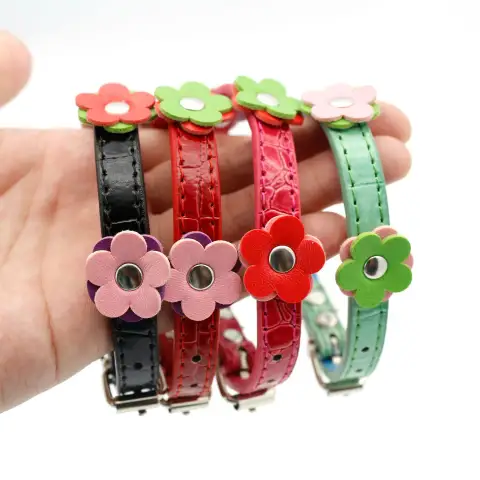 Small Dog and Cat Collars Pets