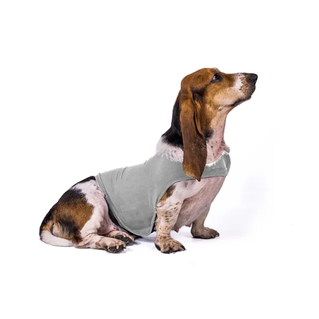 Anxiety Jacket Vest Summer Medical Treatment To Calm Down Cat Clothes Dog Comfort Clothes Light Grey - Shop at LoveMi