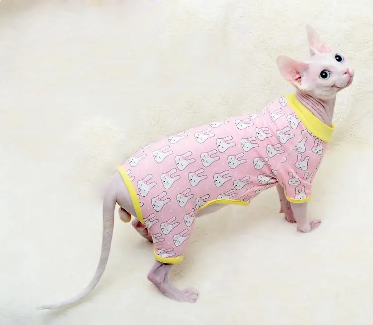 Cat T-Shirt with Rabbit Print for Hair Loss Prevention and Warmth