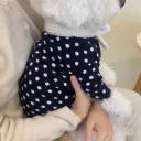 Blue Dots