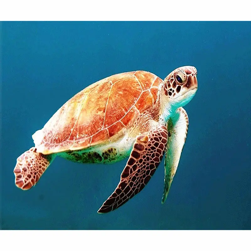 New DIY Ocean Turtle Full Diamond Decorative