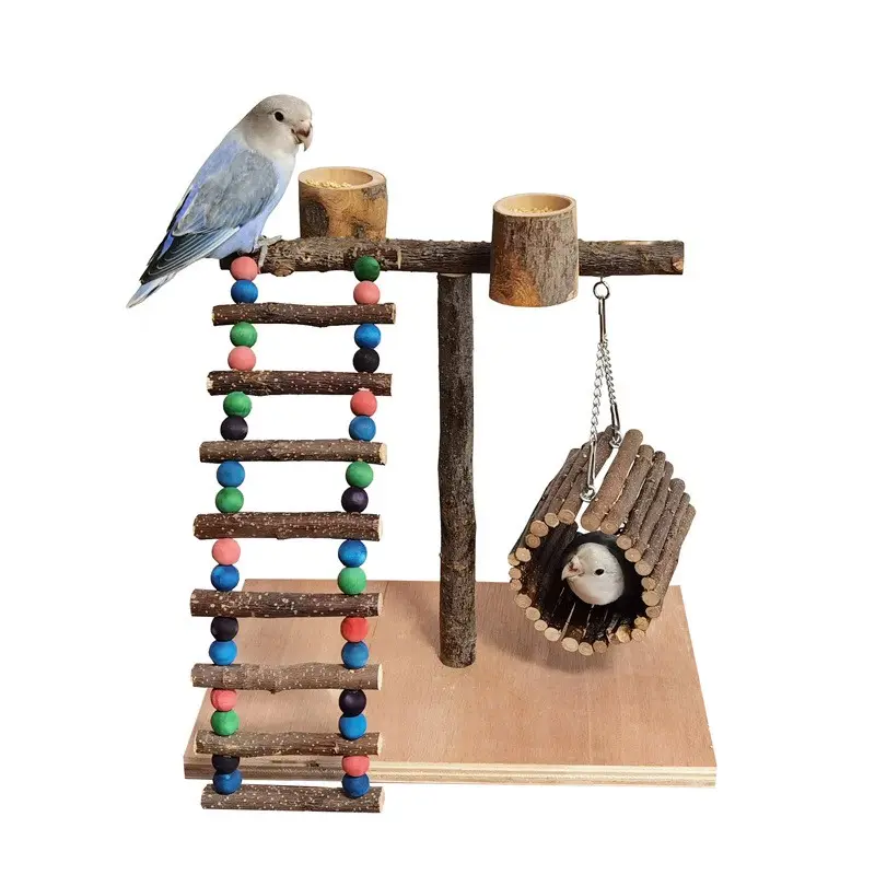 Solid Wood Parrot Station Frame Training Bird