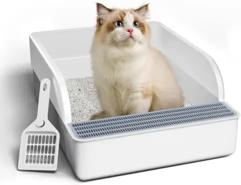 Open Cat Litter Box with High Side Anti-Splashing Cat