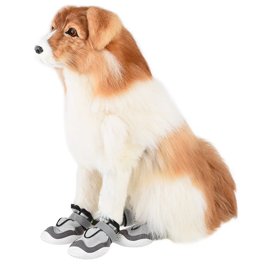 Pet Shoes Wear-resistant And Breathable Big Dog