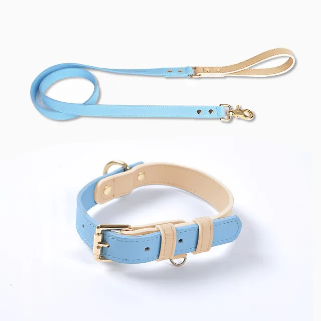 Leather Pet Dog Leash Collar Set Blue - Shop at LoveMi