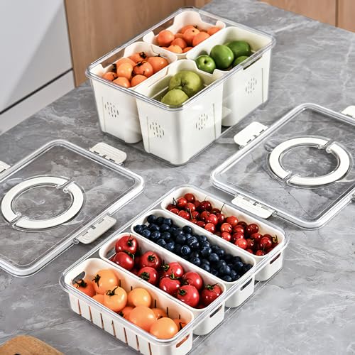 Vegetable Tray With Divided Lid And Handle. Divided Plate With Four Compartments. Portable Snack Storage Box. Stackable Snack Container. Refrigerated Food Container. Suitable For Fruits, Vegetables, A