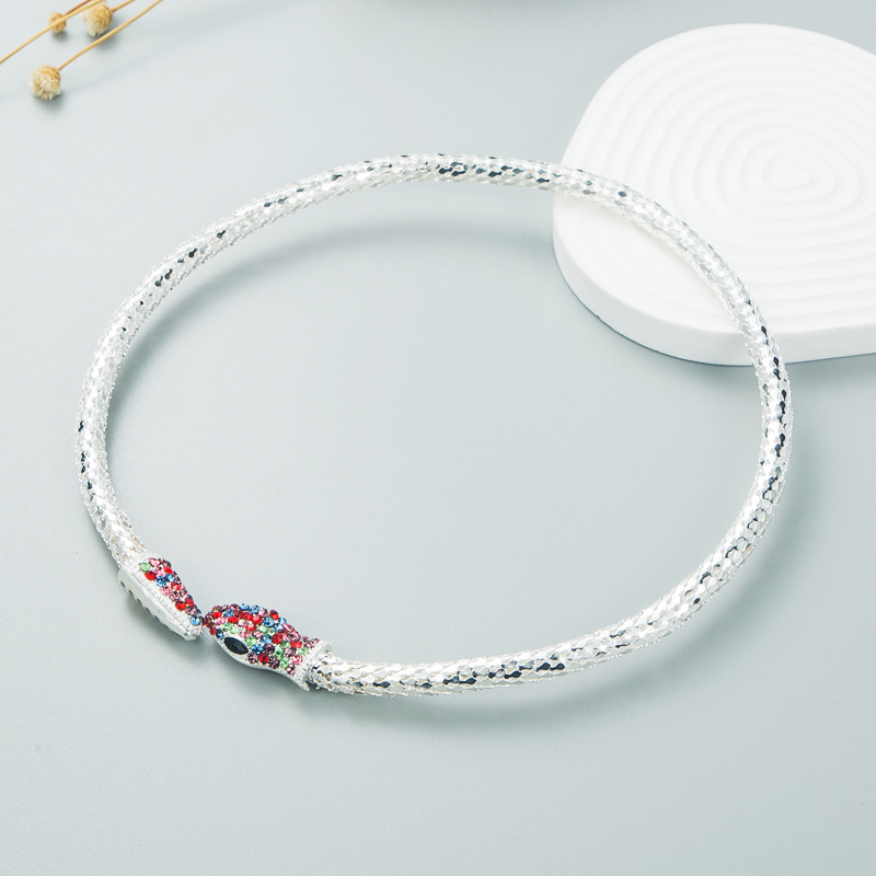 سلسلة طوق عظمة الترقوة بتصميم أوروبي-أمريكي قابلة للتعديل