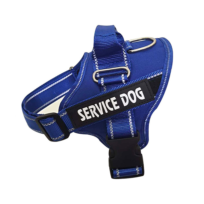 Personalization Of Pet Chest Strap Products Blue - Shop at LoveMi