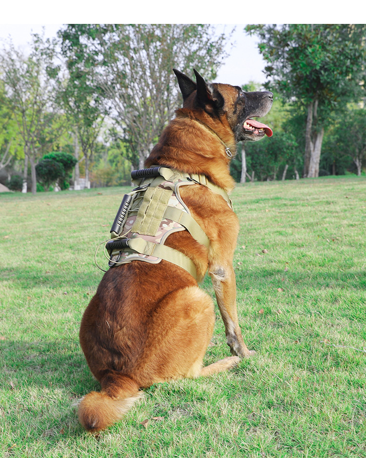 Adjustable tactical K9 chest harness with padded straps, ideal for walking large dogs.