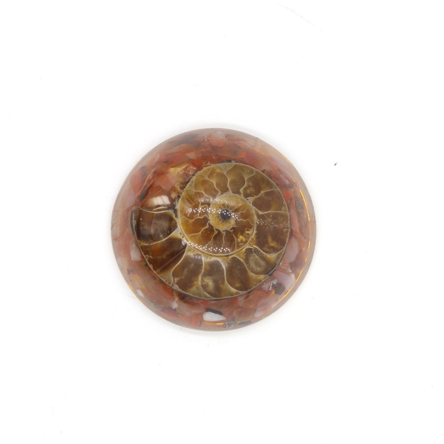 Resin And Crystal Fossil Snail Hemisphere Handicraft Pendant