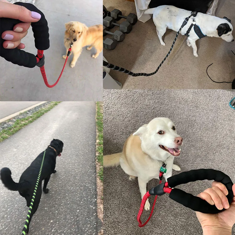 Small Medium Sized Pet Dog Luminous Leash Chain Puppies – image 2