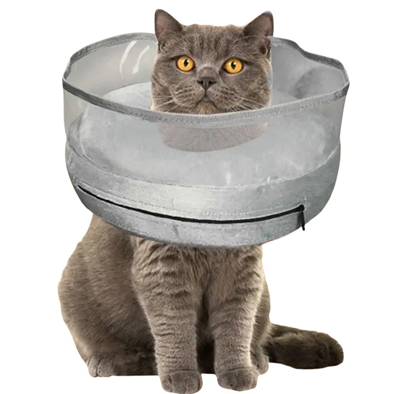 Inflatable Dog Cone Collar Soft Recovery For Post-Surgery — image 4