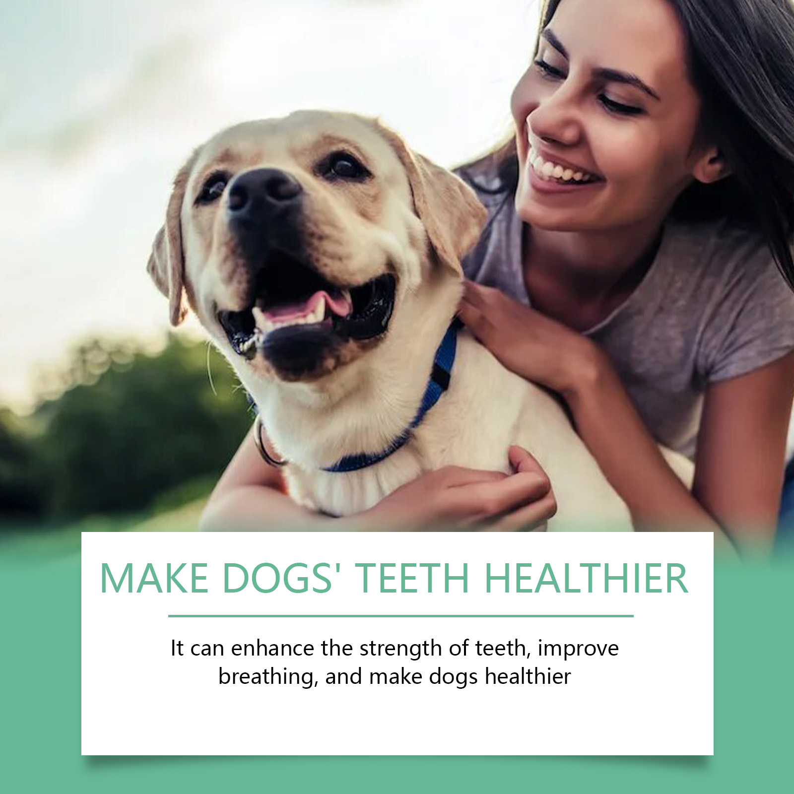 Dog Tooth Cleaning Powder 10