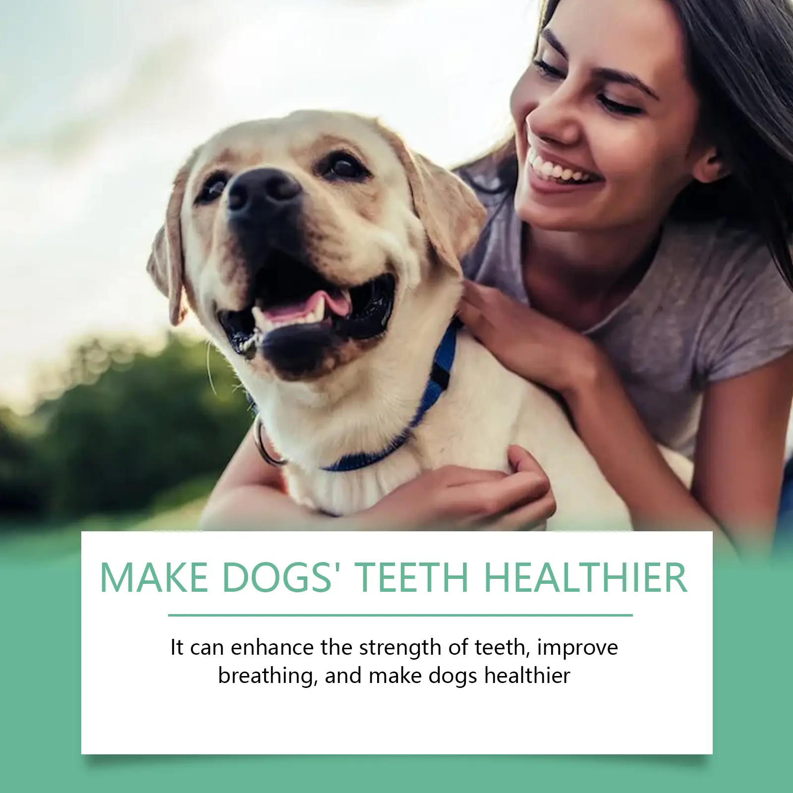Dog Tooth Cleaning Powder