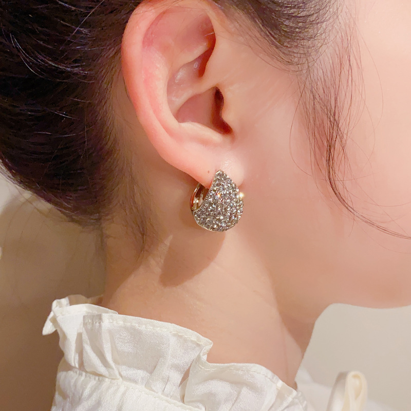 Exquisite Fashion Super Sparkling Gray Drop Earrings Full Of Diamonds