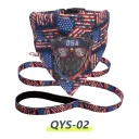 Qys02