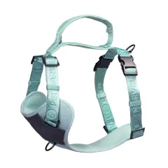 PETMARVEL Adjustable Embroidered Stylish Dog Harness - Mint Green - View 1