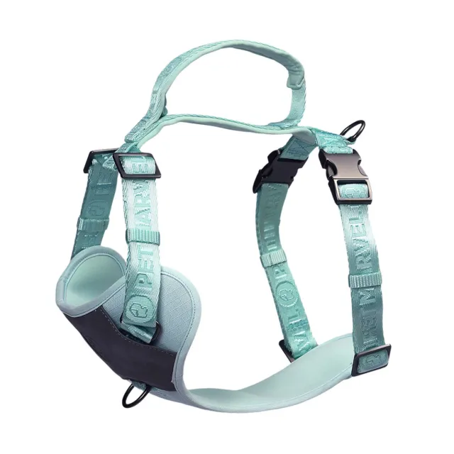 PETMARVEL Adjustable Embroidered Stylish Dog Harness Mint Green - Shop at LoveMi