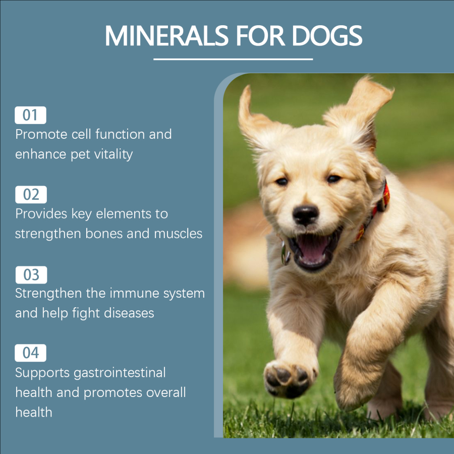 Dog Mineral Supplement Tablets, 80 Chewable Minerals Tablets For Pica, Appetite & Bone Health Support, Non-GMO Human Grade Pet Vitamins