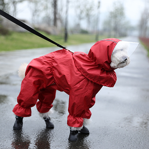 Title 3, Imperméable pour Chien Teddy Quatre Pattes Étan...