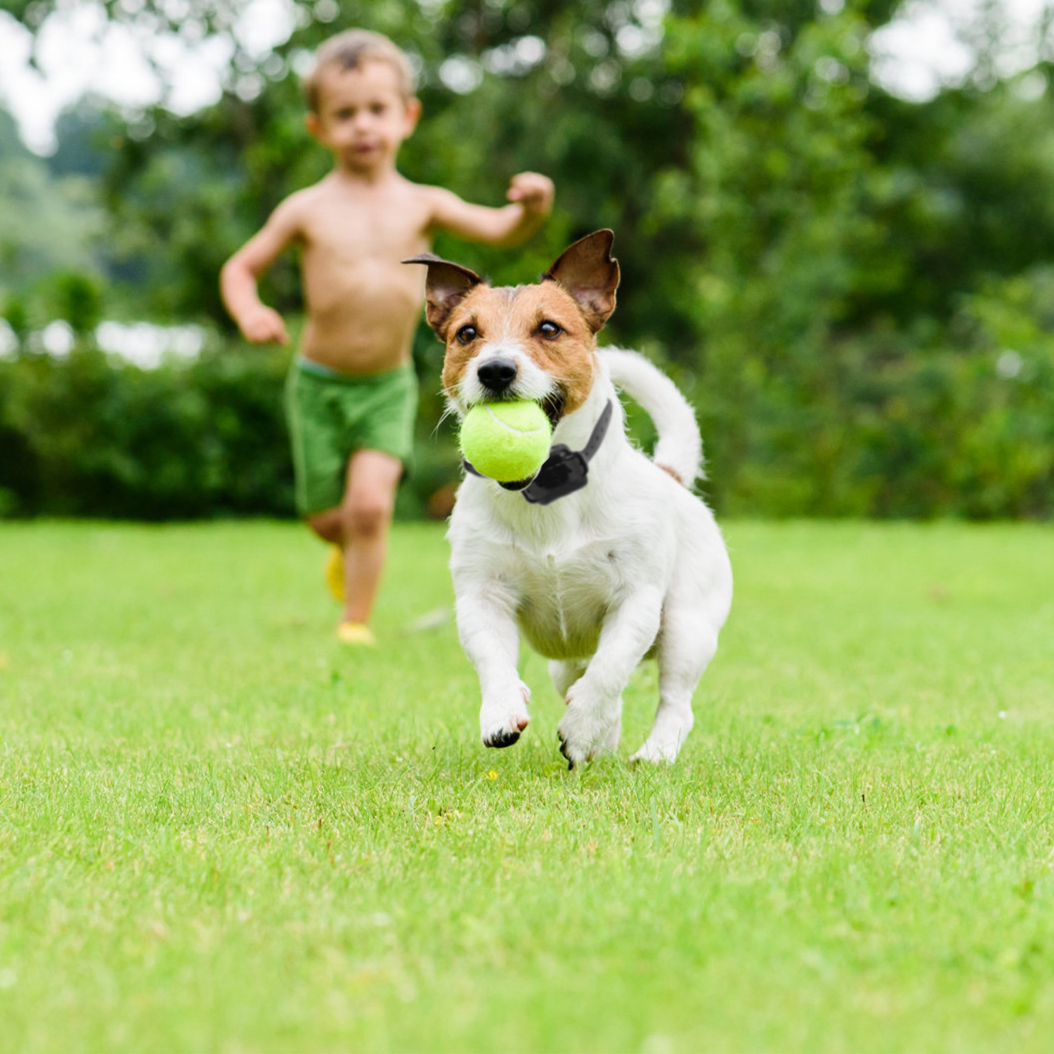 1Set Wireless Electric Dog Fence Pet Shock Boundary Containment System Electric Training Collar For Small Medium Large Dogs — foto 9