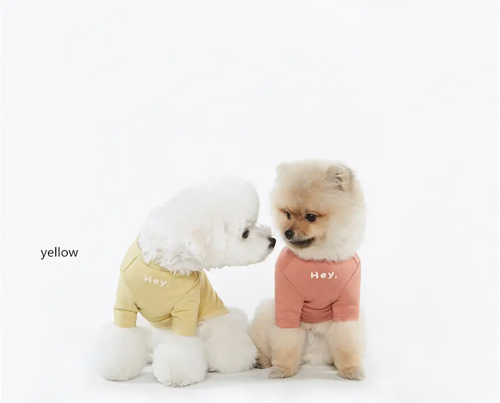 Casual Simple Printed T Pet Clothes