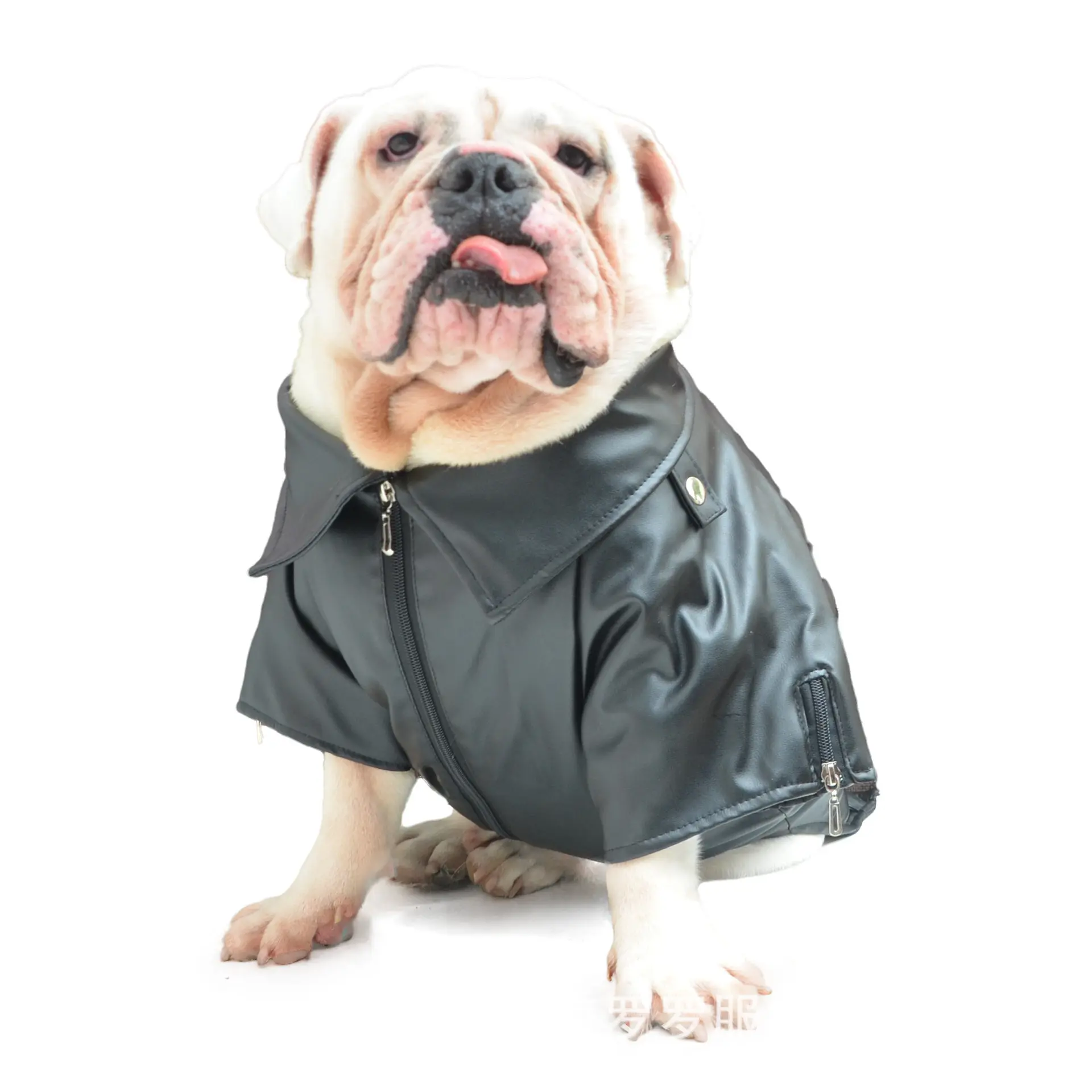 Big Dog Clothes Autumn And Winter Clothing