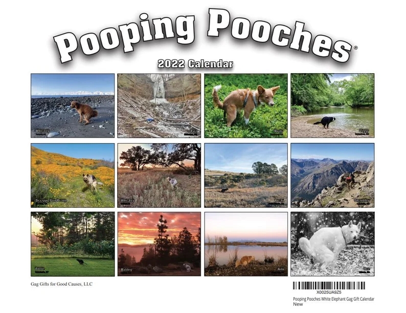 Dog Poop Calendar Animal Parody Desk Calendar (As shown)