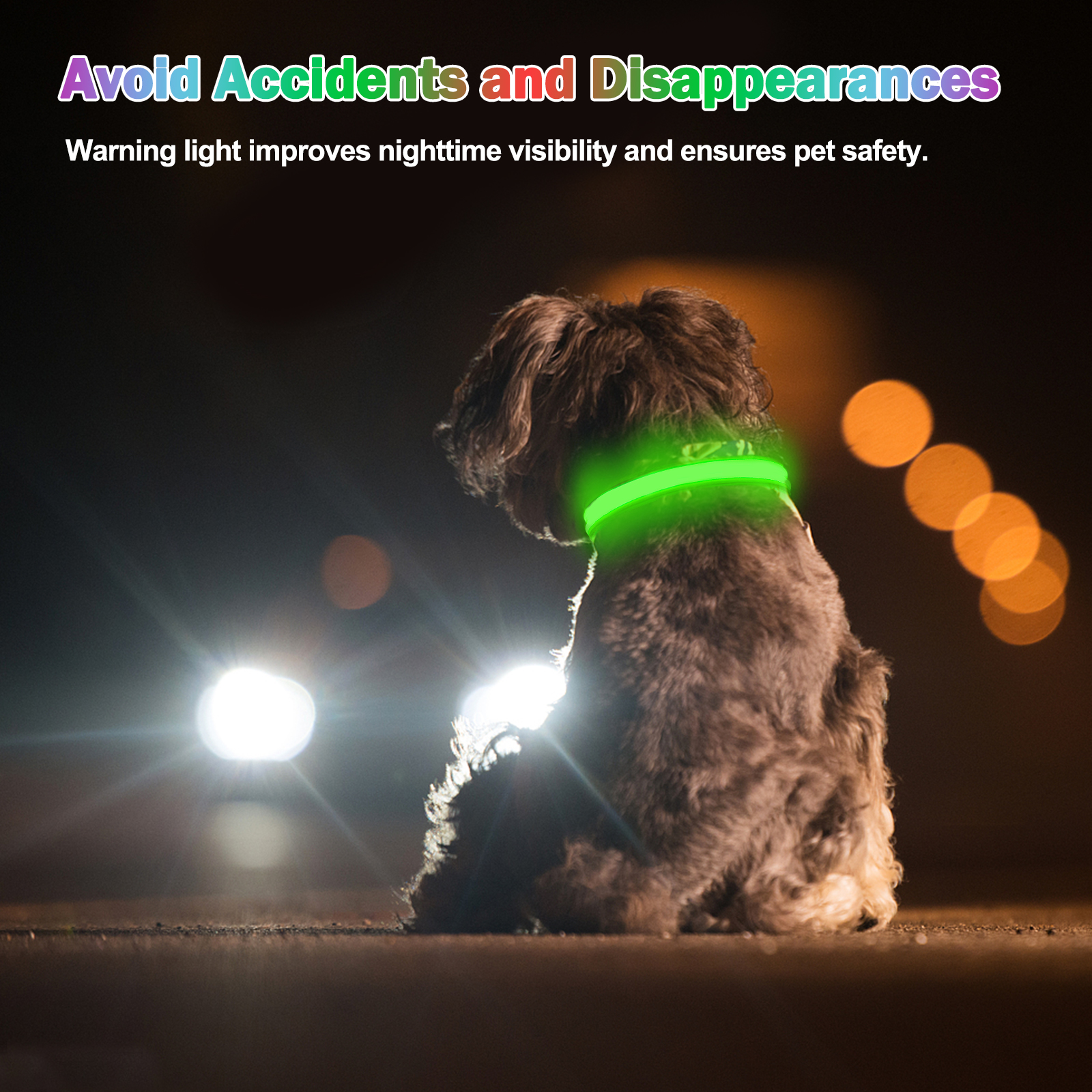 Light Up Dog Collar - Lights For The Dark Night, Adjustable Flashing — image 7