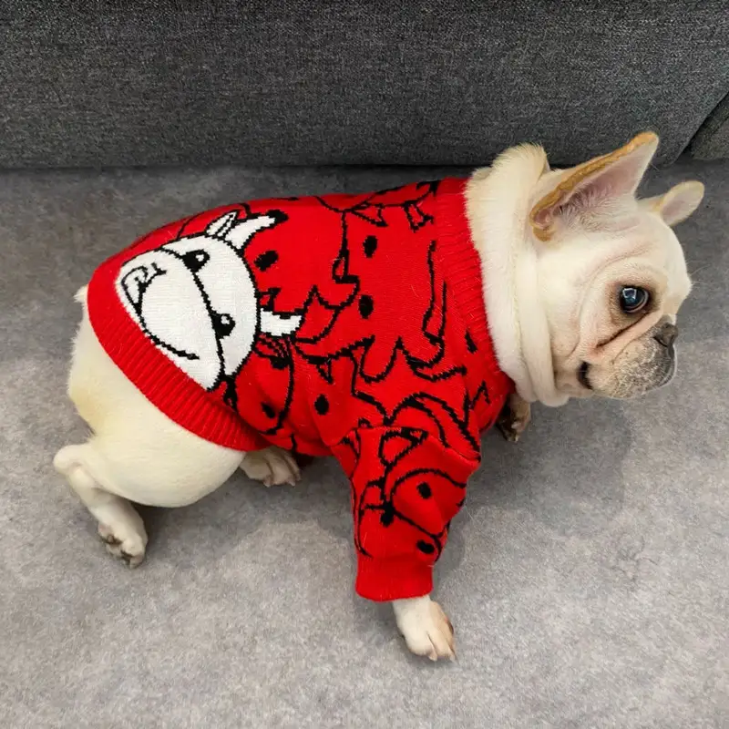 Festive Red Pet New Year Clothes For The Year Of The Ox