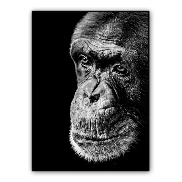 Art Gallery Living Room Decorative Canvas 4 Style - Shop at LoveMi